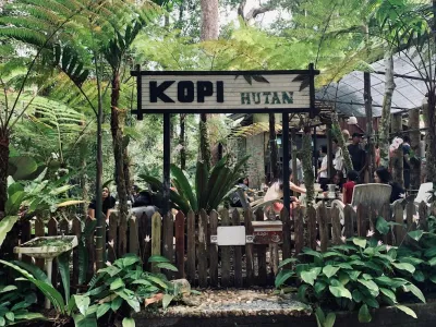 Kopi Hutan