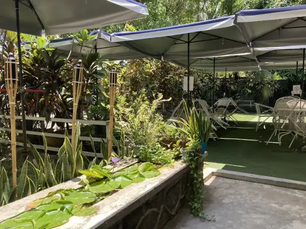 RGB Coffee at the Bean Hive